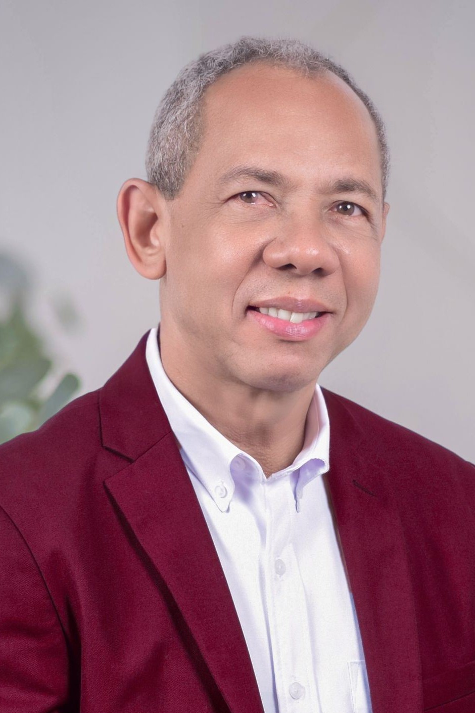 Análisis de la reforma constitucional dominicana de 2020